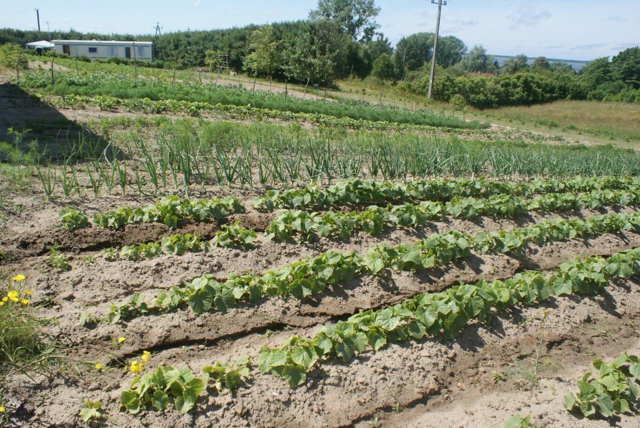 Agrodomki Okej -Dom Kasjan Gardna Wielka Zewnętrze zdjęcie